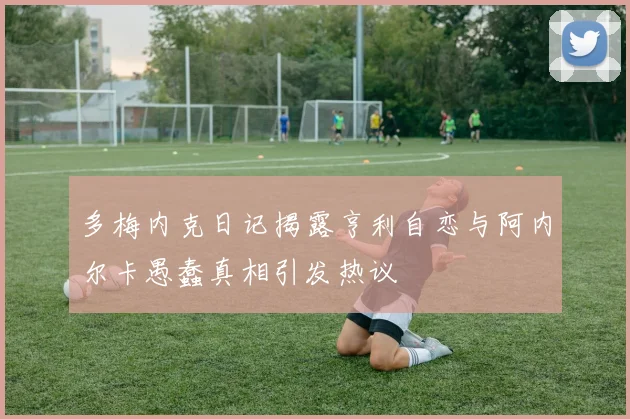多梅内克日记揭露亨利自恋与阿内尔卡愚蠢真相引发热议
