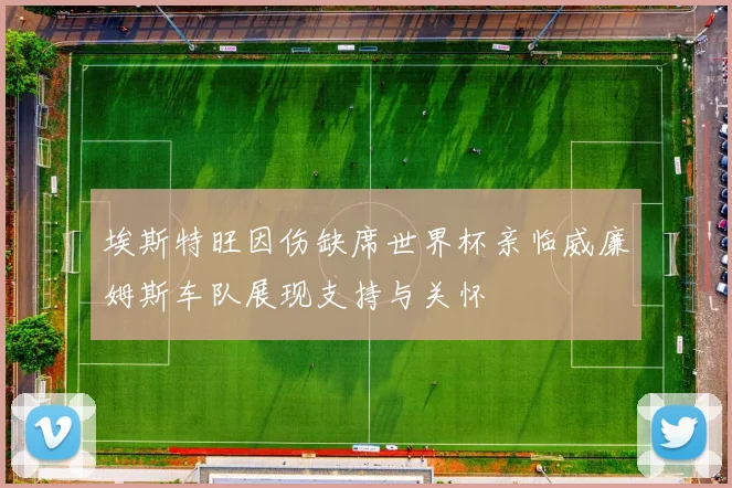埃斯特旺因伤缺席世界杯亲临威廉姆斯车队展现支持与关怀